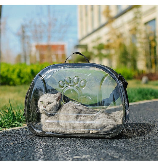 Large Cat Carrier With Eye-catching Transparent View & Breathable Spot