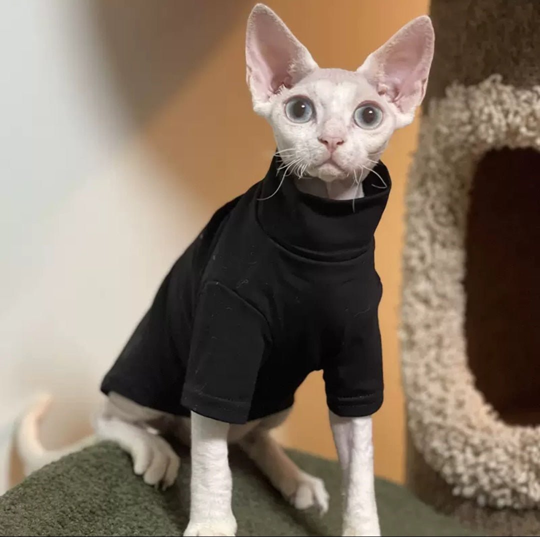 Keep Your Sphynx Stylish with Our Clothing for Sphynx Cats