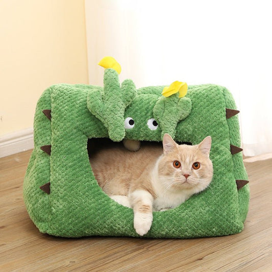 Desert's meow cactus cat cove