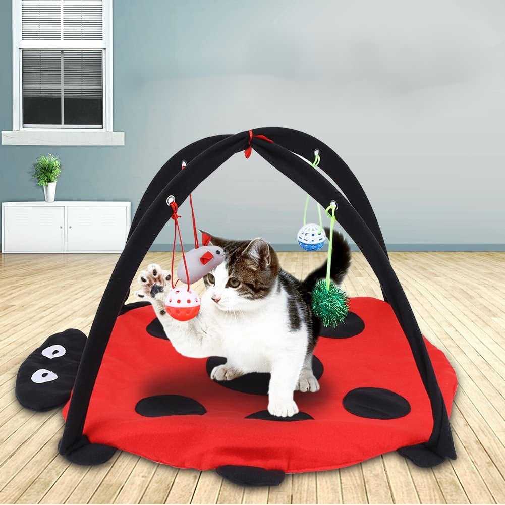 Ladybug Cat Tent With Toys – Meowgicians™