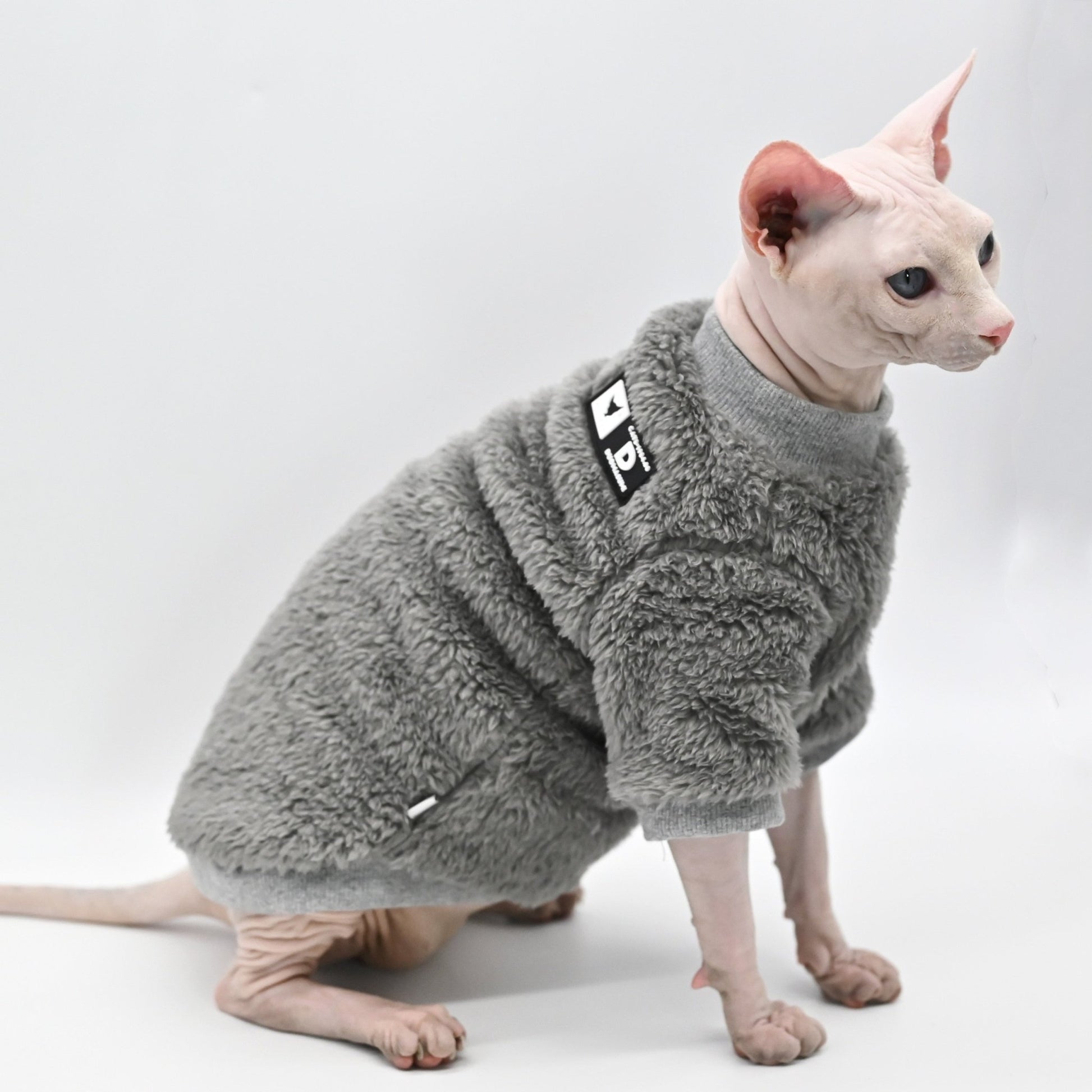 a cat wearing a sweaters for cats in grey color