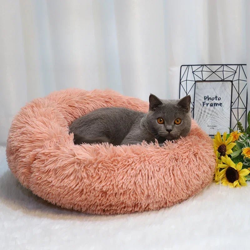 Cat macaron bed cheap