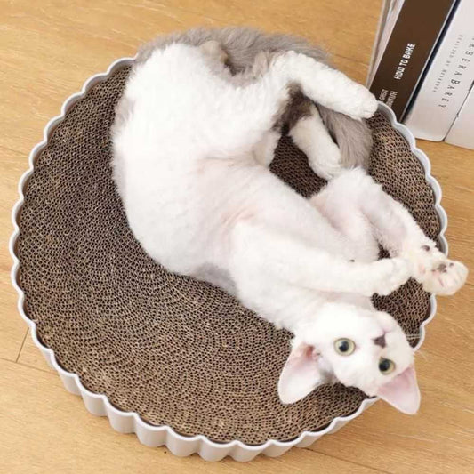 Round Cat Scratching Board