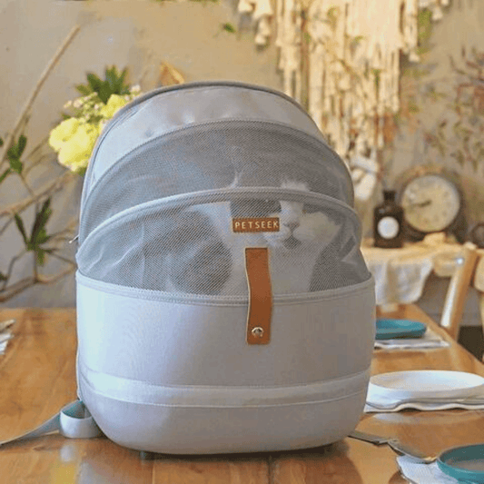 aesthetic luxury cat carrier for small cat