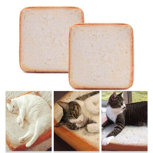 The toast and cat funny cat cove