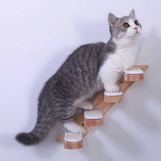 Wall-Mounted Cat Climbing Ladder