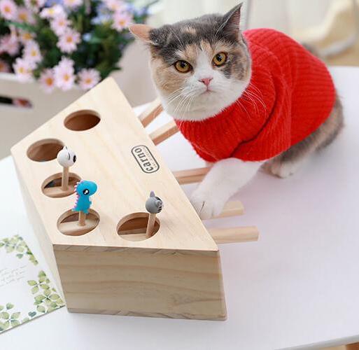 Whack & Catch Interactive Toy