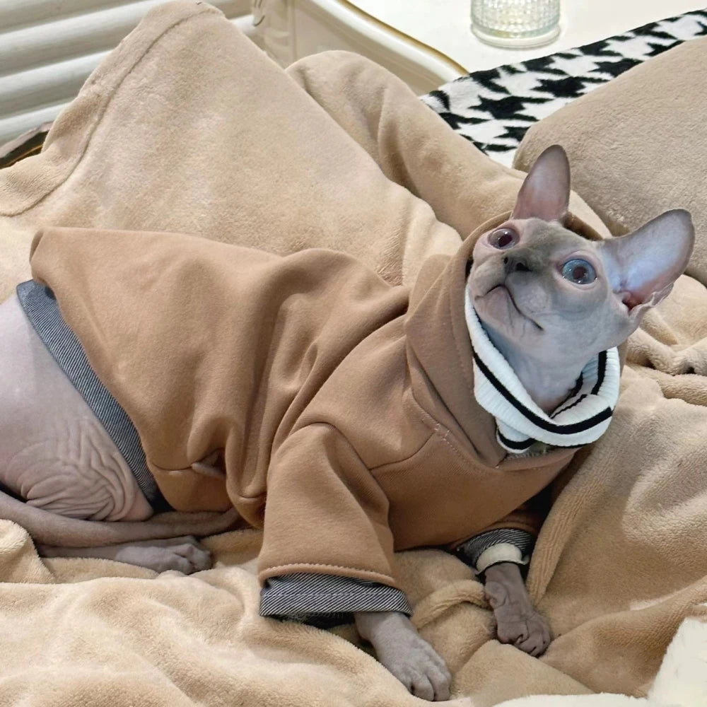 Cool Hoodie Clothes For Cat In Layers