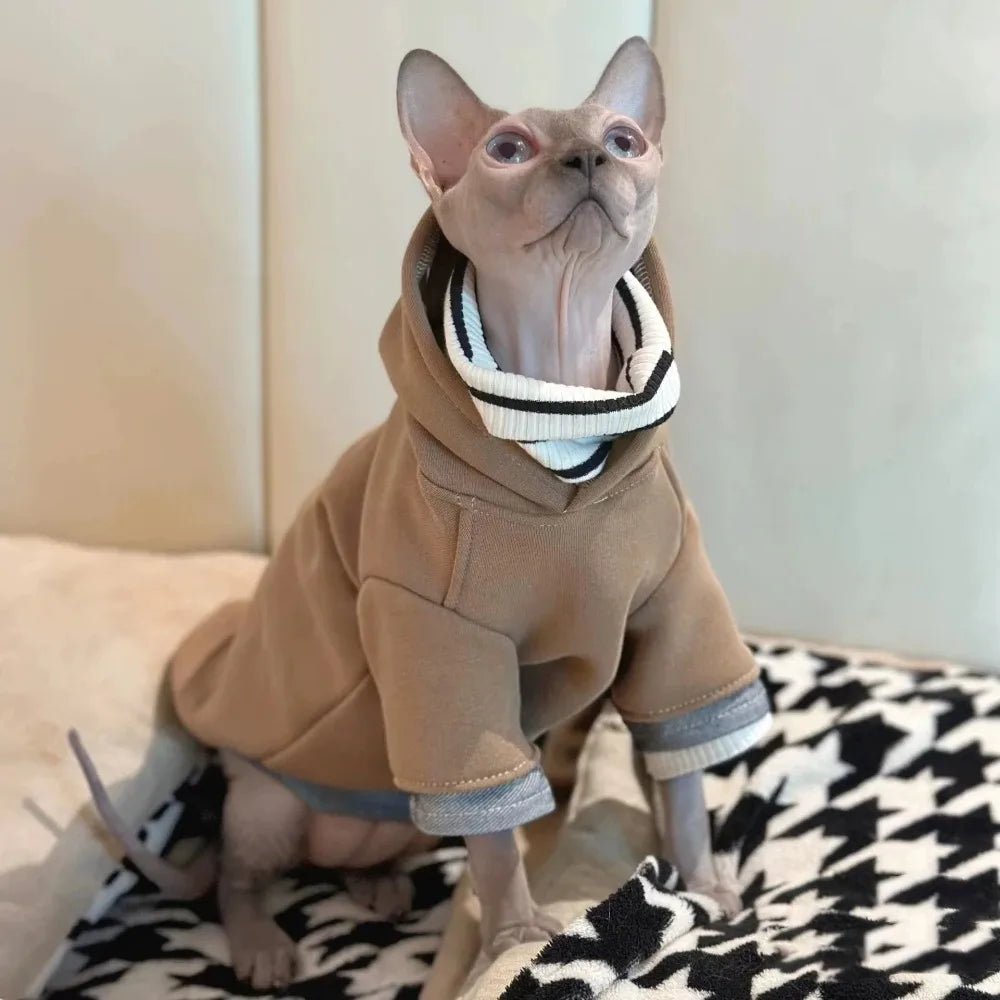 Cool Hoodie Clothes For Cat In Layers