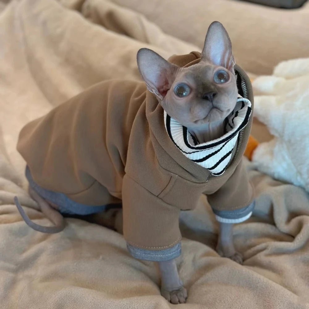 Cool Hoodie Clothes For Cat In Layers