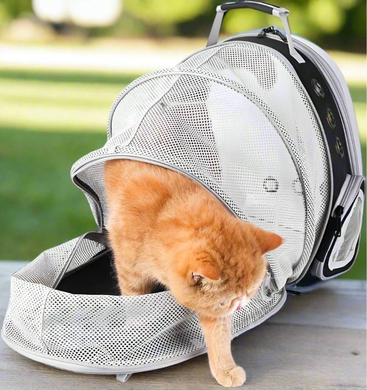 Expandable & Transparent Cat Carrier Backpack With Space Window