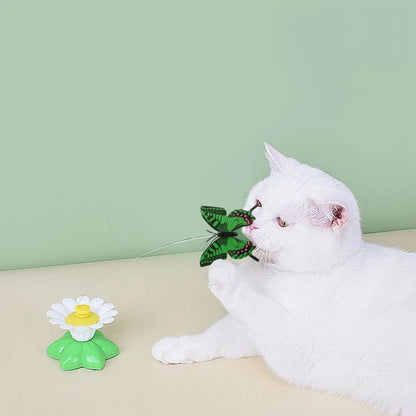 Interactive Flying Butterfly and Bird Toy For Cat