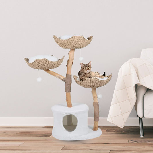 Luxury Cat Furniture with Bohemian style Woven Basket and Natural Wood Branches that looks so sophisticated