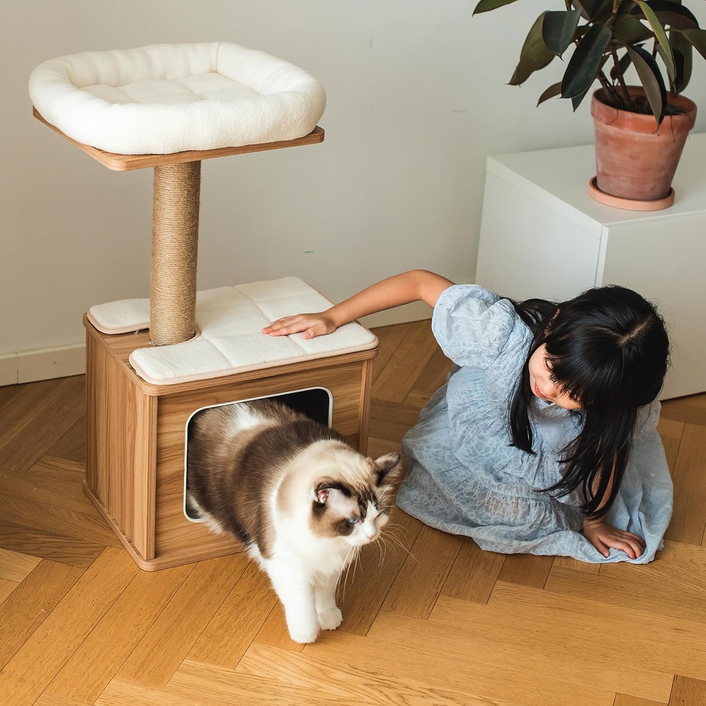 Woman interacting with a cat on a wooden cat tree in a home setting
