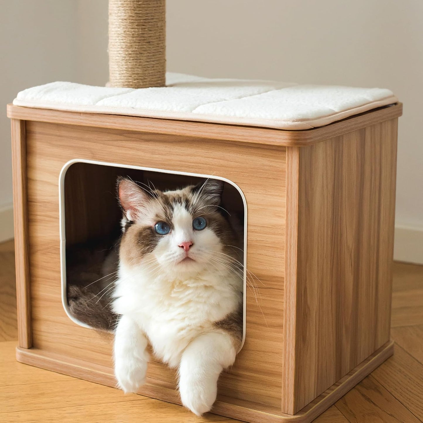 Cat sitting inside a stylish wooden cat house with a cushioned platform inside