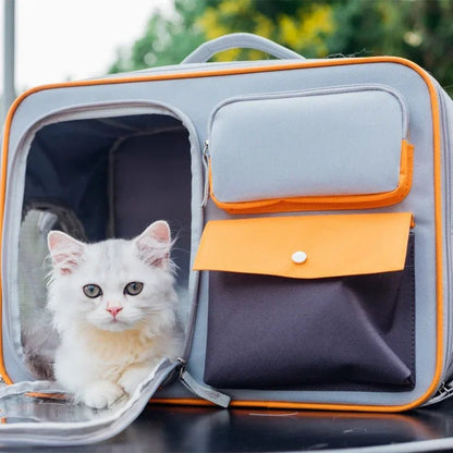 Backpack cat carrier with window clearance