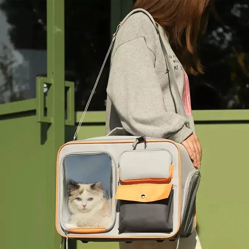 Cat travel backpack with window shop