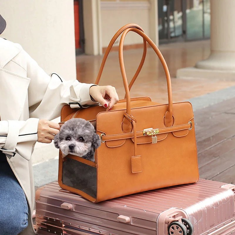 Fancy cat carrier deals
