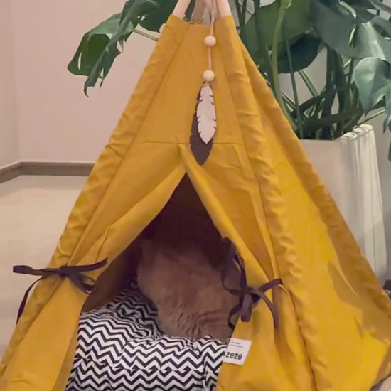 video review of a fancy design cat tent from customer that looks like a luxury teepee