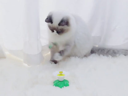 Interactive Flying Butterfly and Bird Toy For Cat