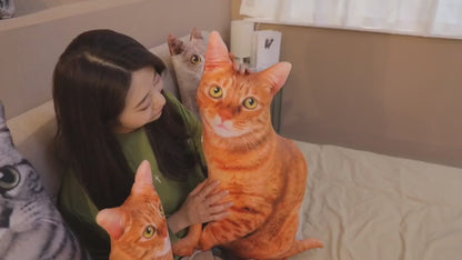 Funny Look 3D Printing Cat Pillow
