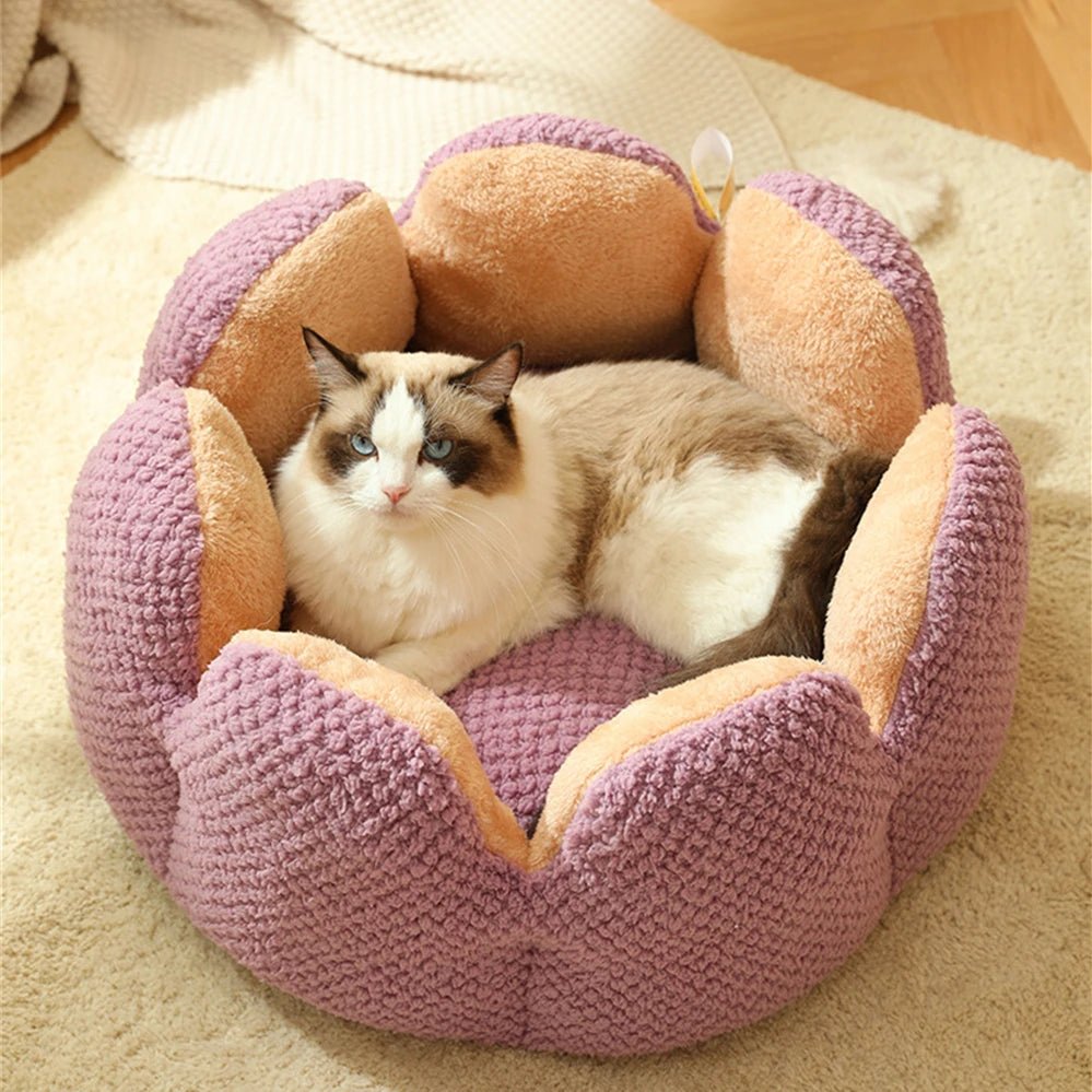 'Queen's Throne' Shell Shape Aesthetic Calming Cat Bed