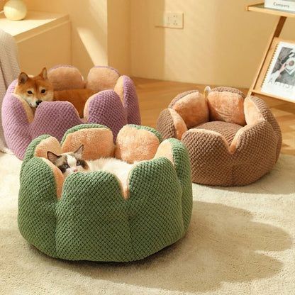 Trio of shell-shaped pet beds in green, purple, and brown, showcasing the luxurious design