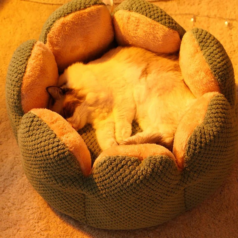 'Queen's Throne' Shell Shape Aesthetic Calming Cat Bed