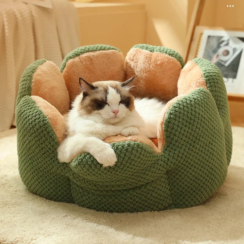 'Queen's Throne' Shell Shape Aesthetic Calming Cat Bed