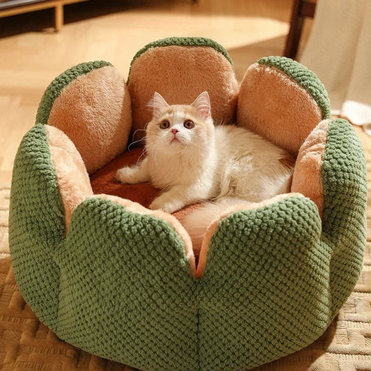 Calming cat bed in cactus green color, featuring a cozy plush interior and shell shape design that looks lxurious