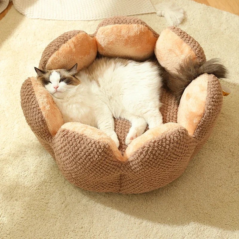 Comfortable cat resting in a brown shell-shaped bed with soft fleece lining