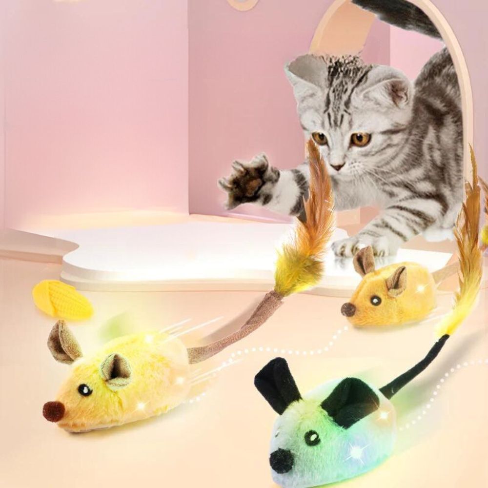 Unique Cute Cat Toys Meowgicians