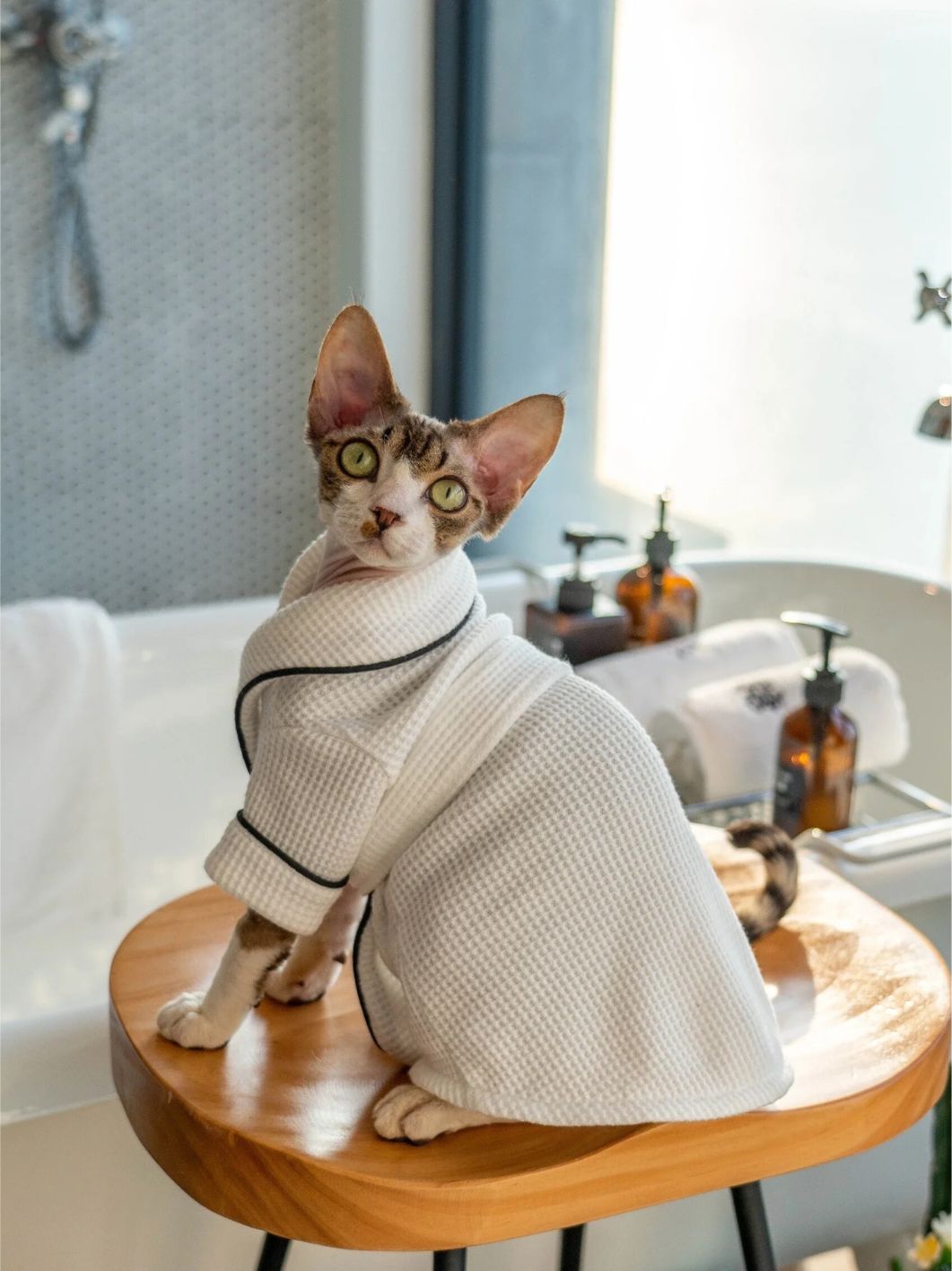 Sophisticated Look Waffle Fabric Pajamas For Cat