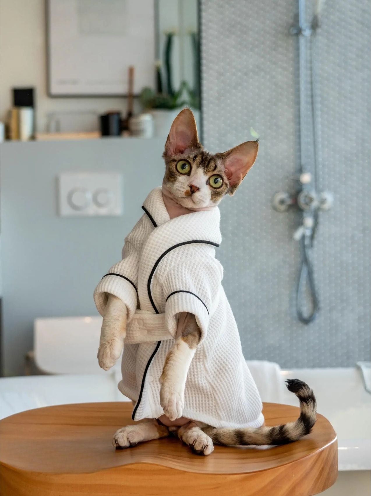 Sophisticated Look Waffle Fabric Pajamas For Cat