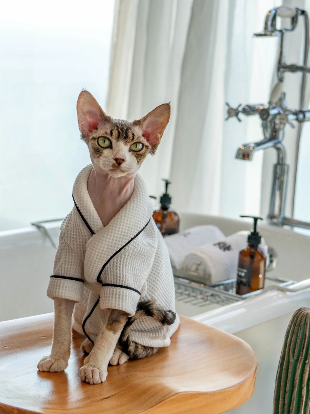 Sophisticated Look Waffle Fabric Pajamas For Cat