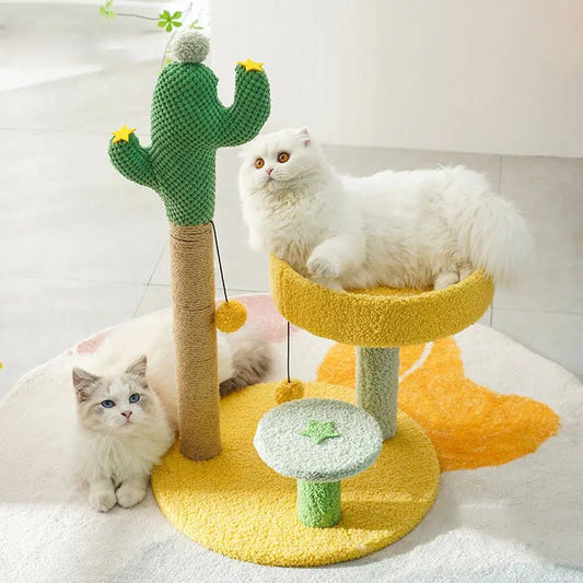 2 cats laying on a vibrant color cat scratching post with a big cactus beside