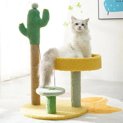 cute cat sitting on a round cat scratcher bed in cactus and desert theme