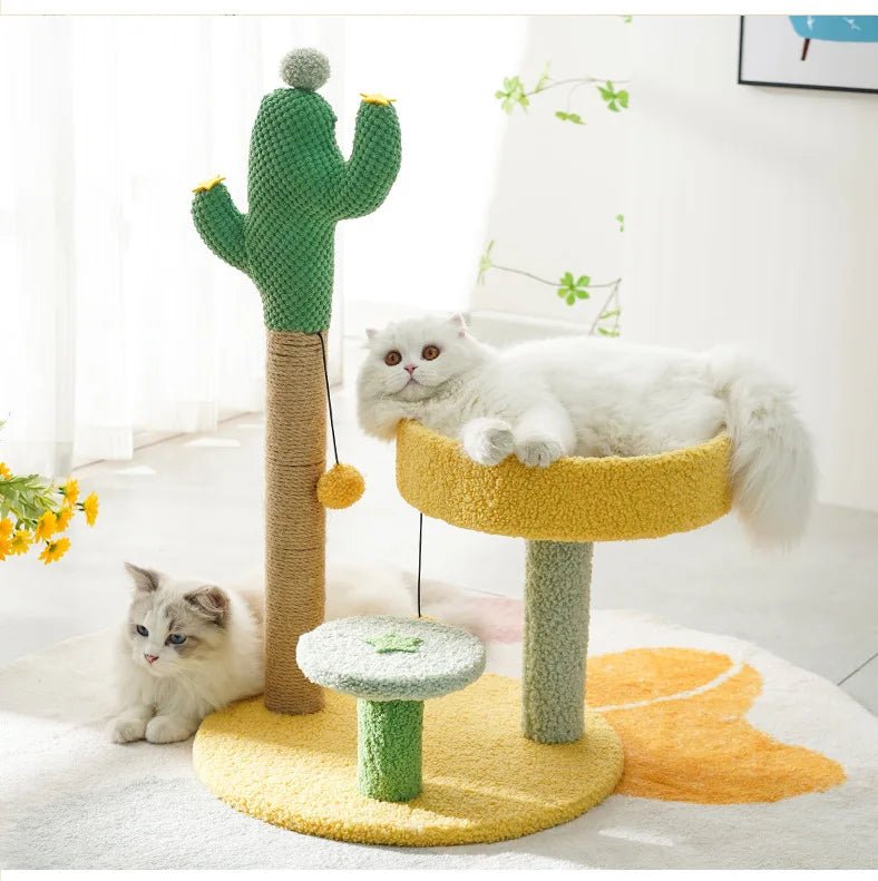 two cat laying on a cat scratcher bed with a two platform and a huge cactus scratcher beside