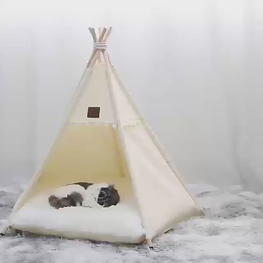 video showing an adorable cat tent made by canvas