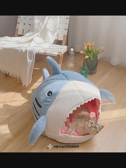 Funny cartoon shark cat bed