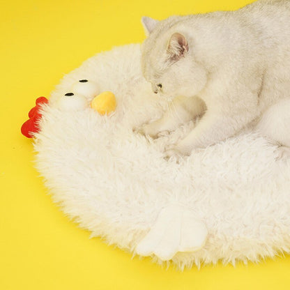 cat scratching the bed made for pets with sleek chicken design