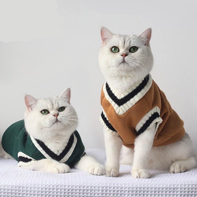 sweaters for cats with college-style design