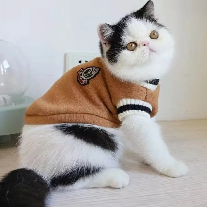 College-Style Sweater for Cat Get Your Cat Ready for School