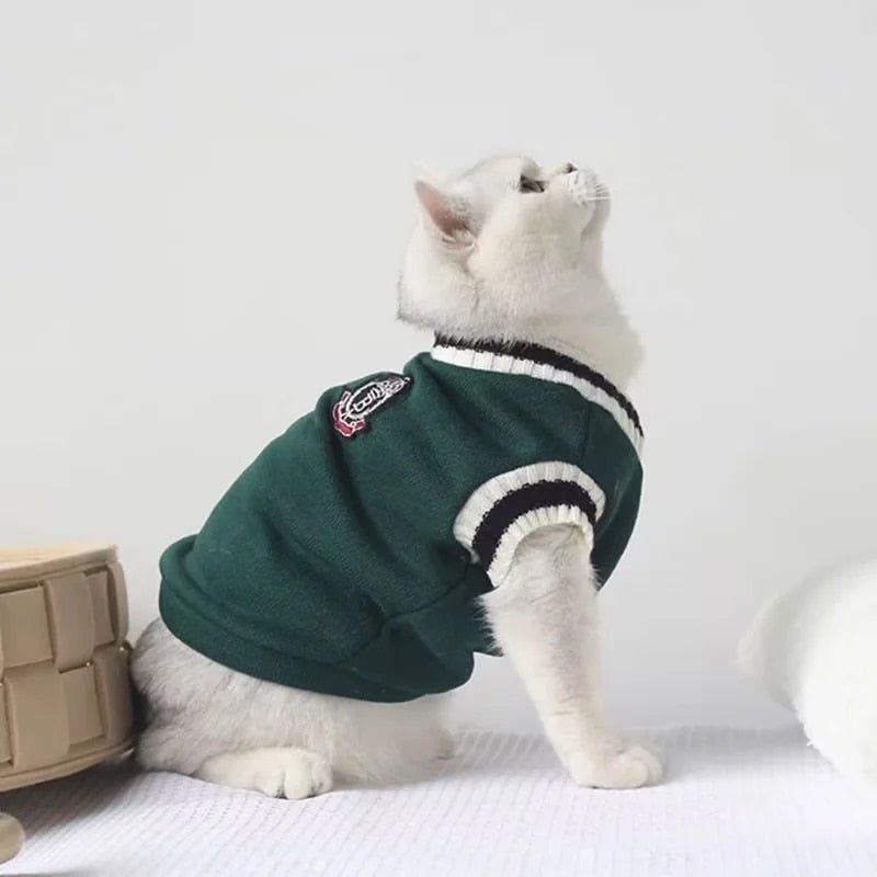 Adorable college style cat sweater