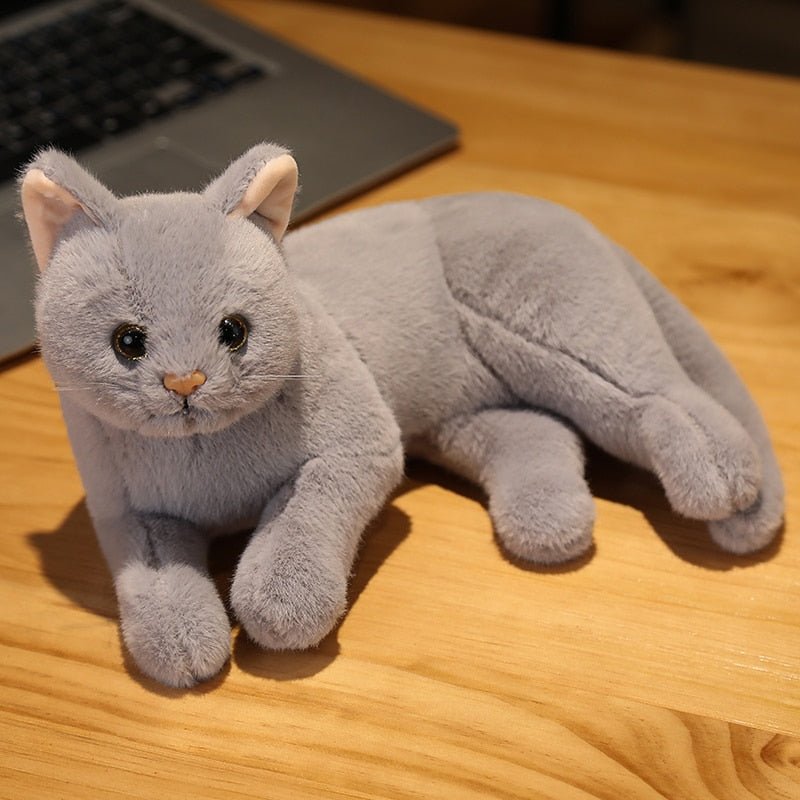 Have a Cat Without Commitment The Realistic Cat Plush Meowgicians