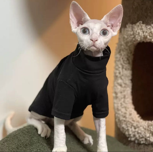a black color cat clothing for sphynx cat