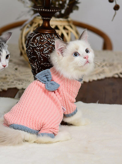 a cute clothing for kittens with ribbon