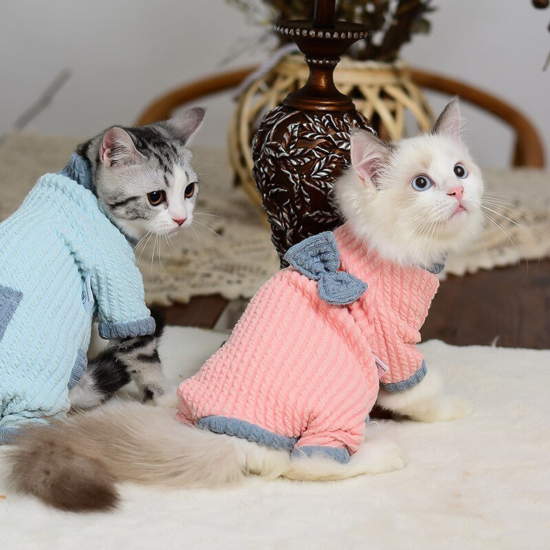kitten clothes made for winter season