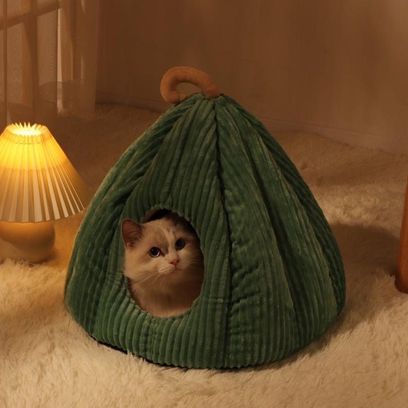 green color adorable pumpkin design unique cat beds 