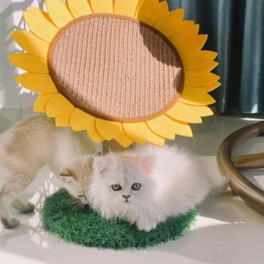 cute sunflower cat scratching pad